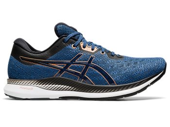 Asics EVORIDE Muške Tenisice Tamno Sive | VXVN1892