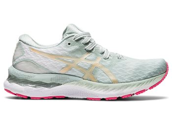 Asics GEL-NIMBUS 23 Ženske Tenisice Lichen Rock / Champagne | ACRO2071