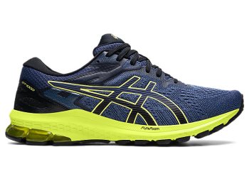 Asics GT-1000 10 Muške Tenisice Plave Plave | JRWB3985