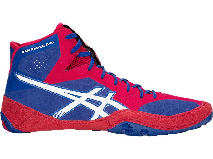 Asics Dan Gable Evo Muške Cipele Za Hrvanje Plave Bijele | LYOH4154